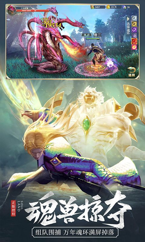 斗罗大陆游戏截图